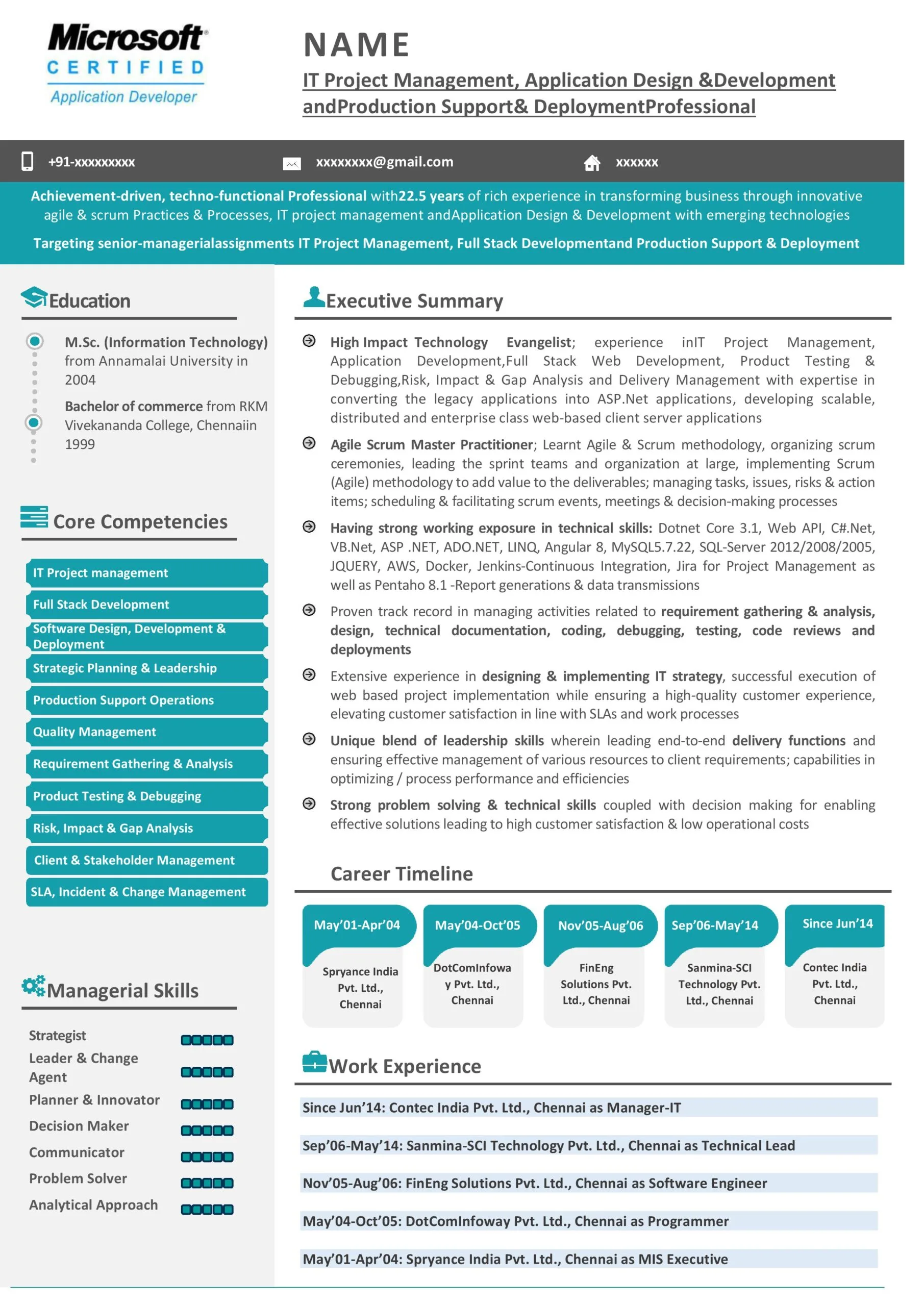IT professionals Resume Samples