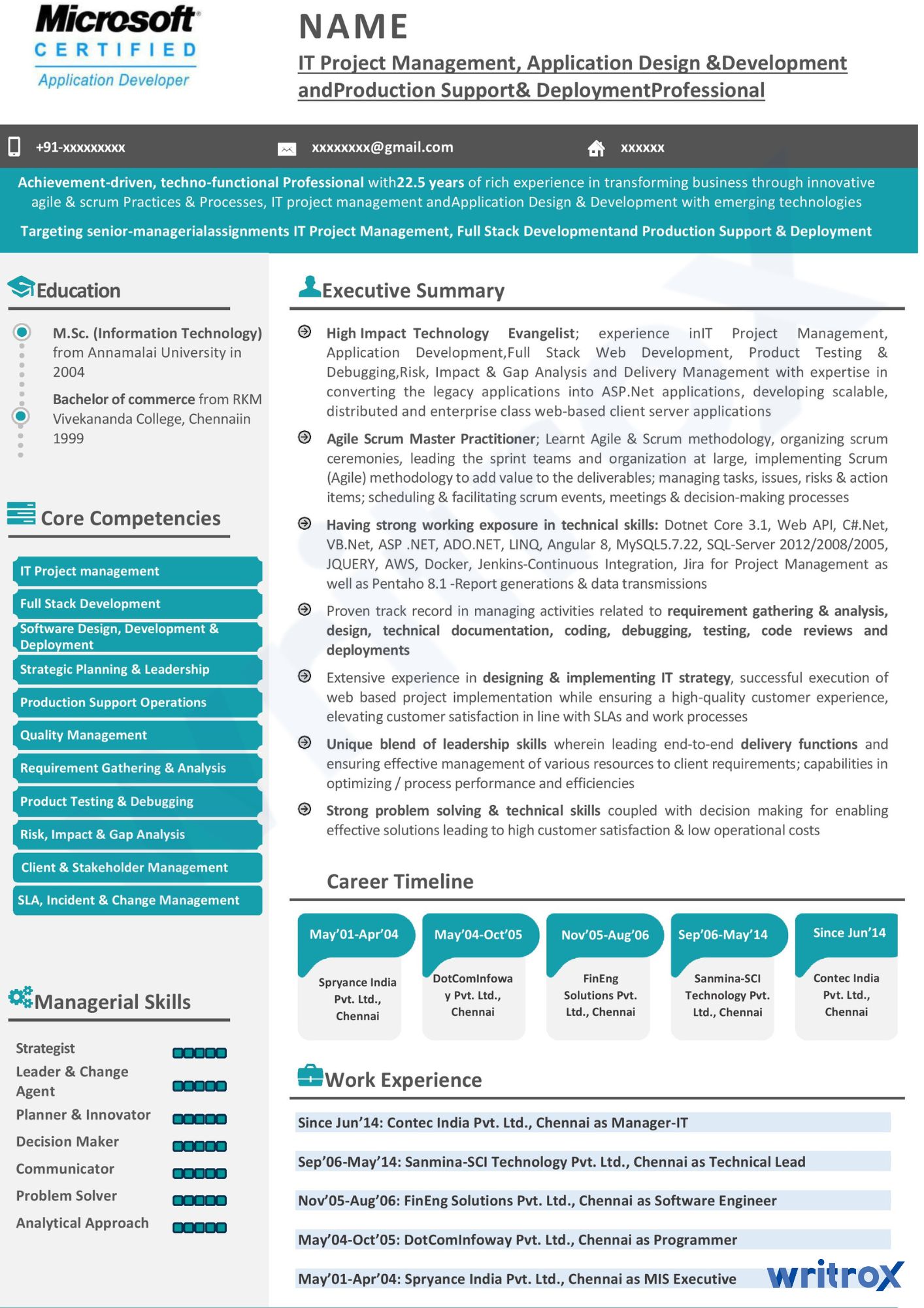 it management resume samples