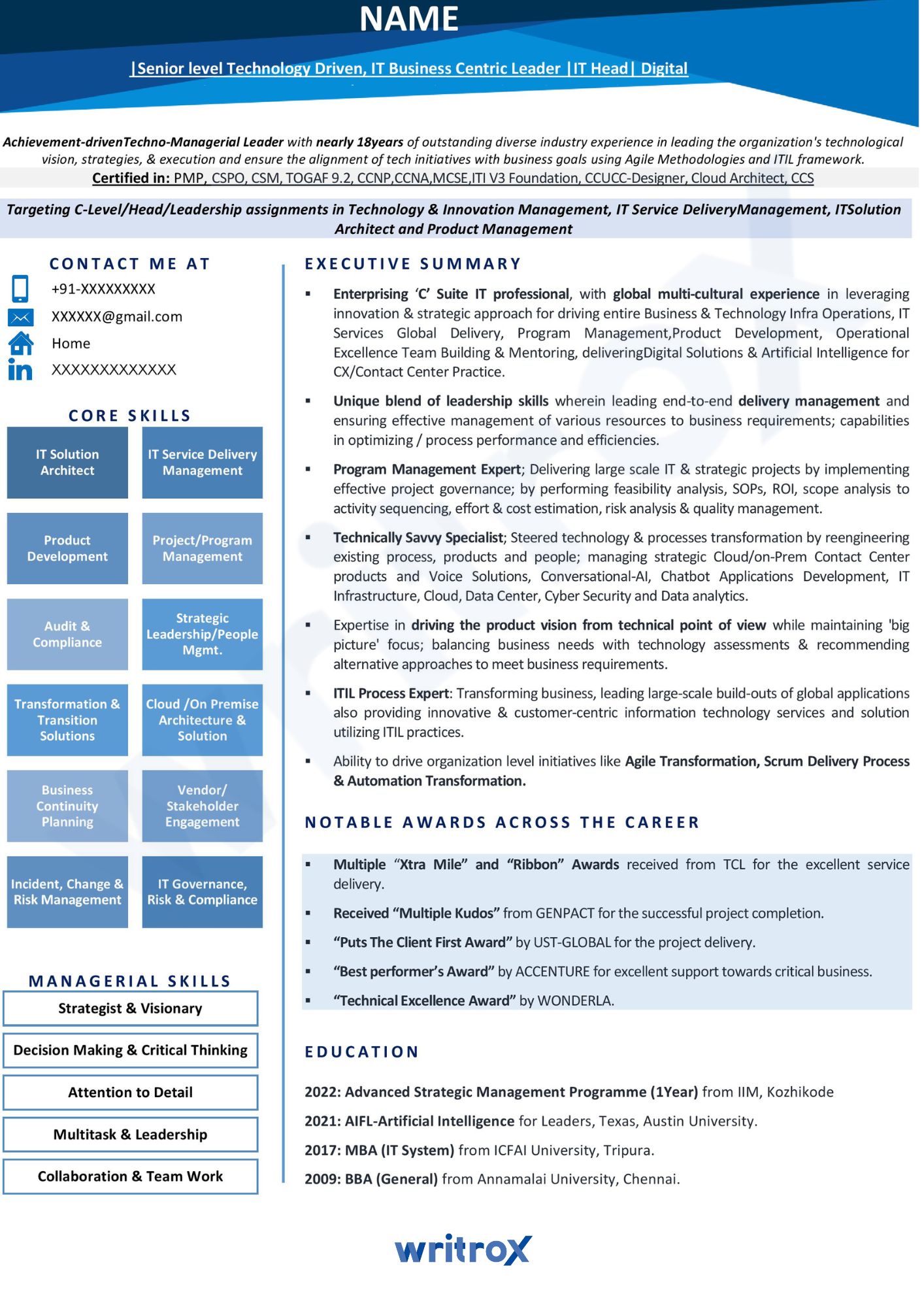 senior level technology resume samples