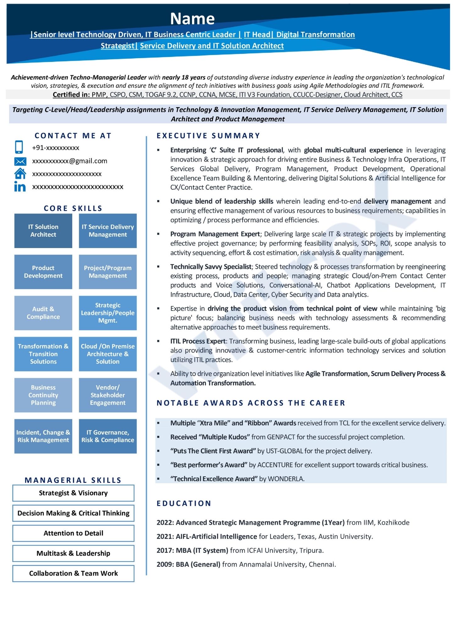 visual resume sample (4)