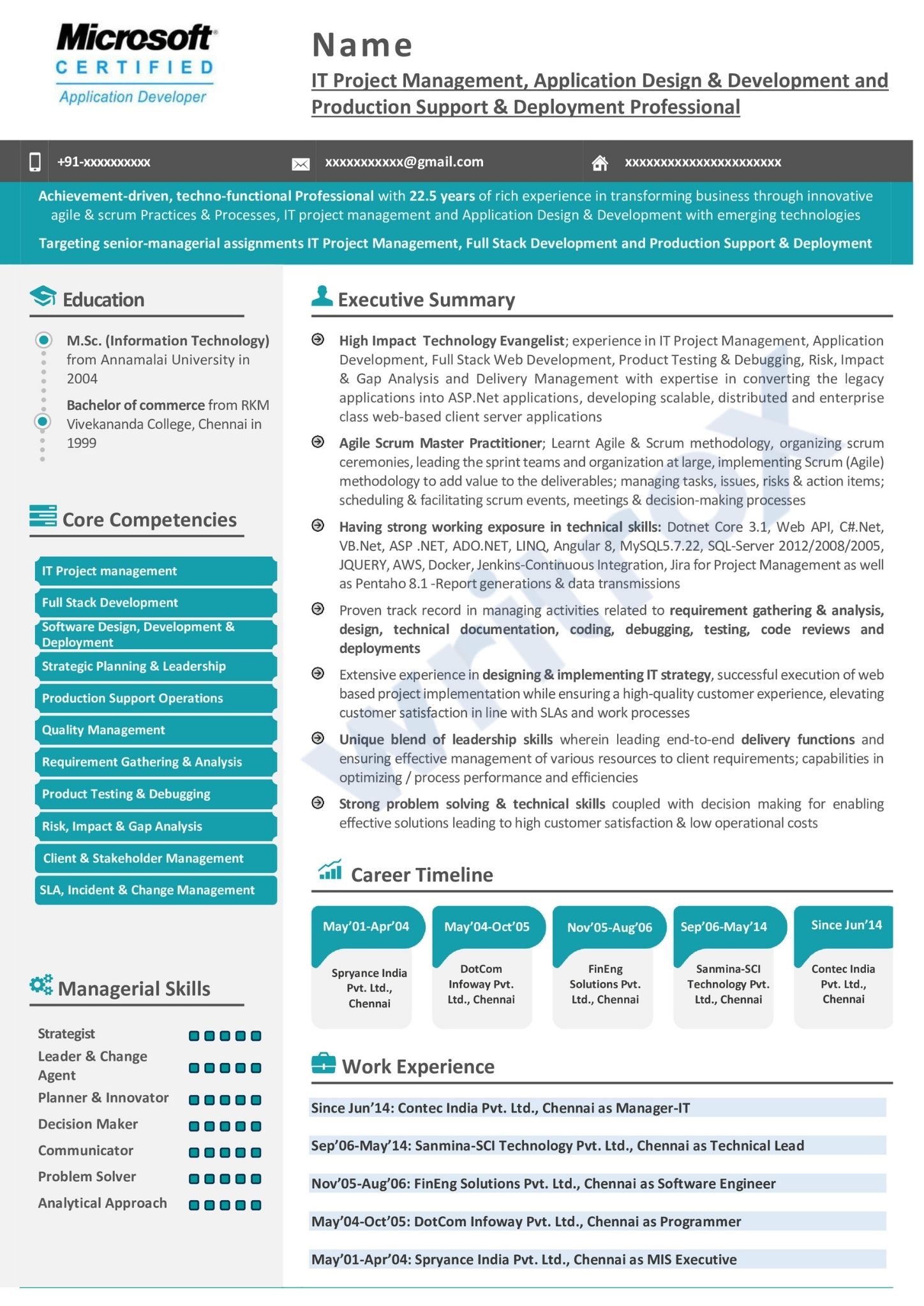 visual resume sample (5)
