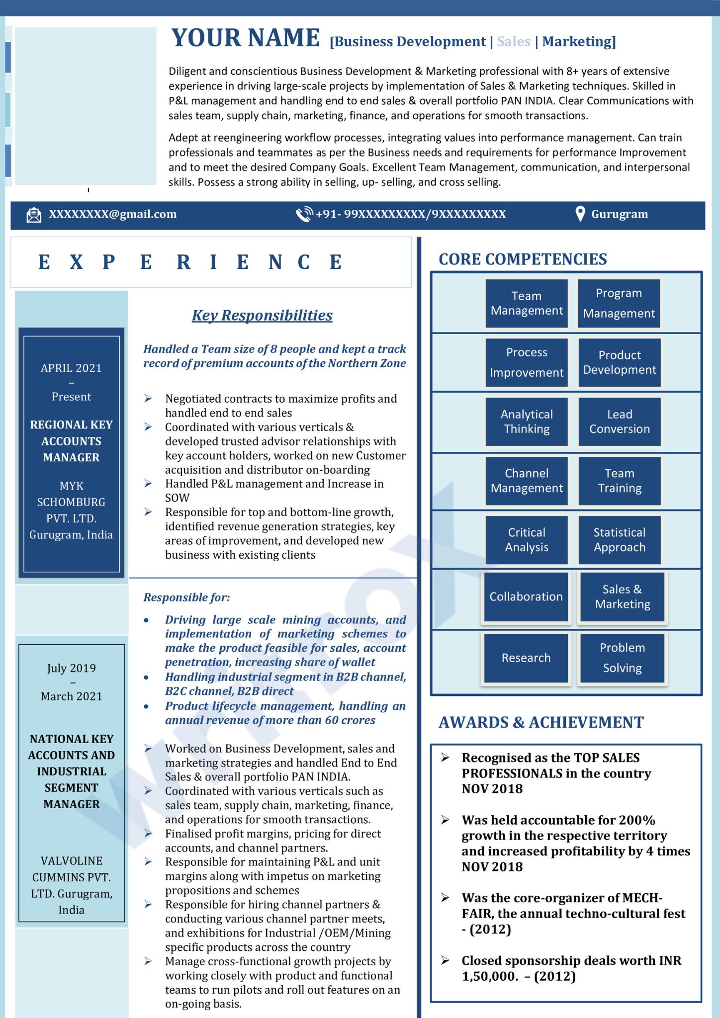 visual resume sample (6)