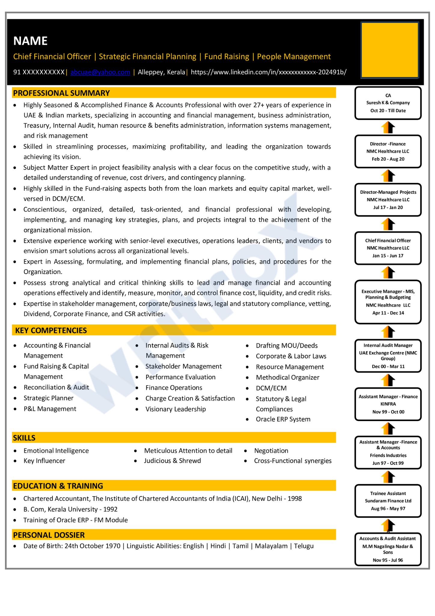 visual resume sample (9)