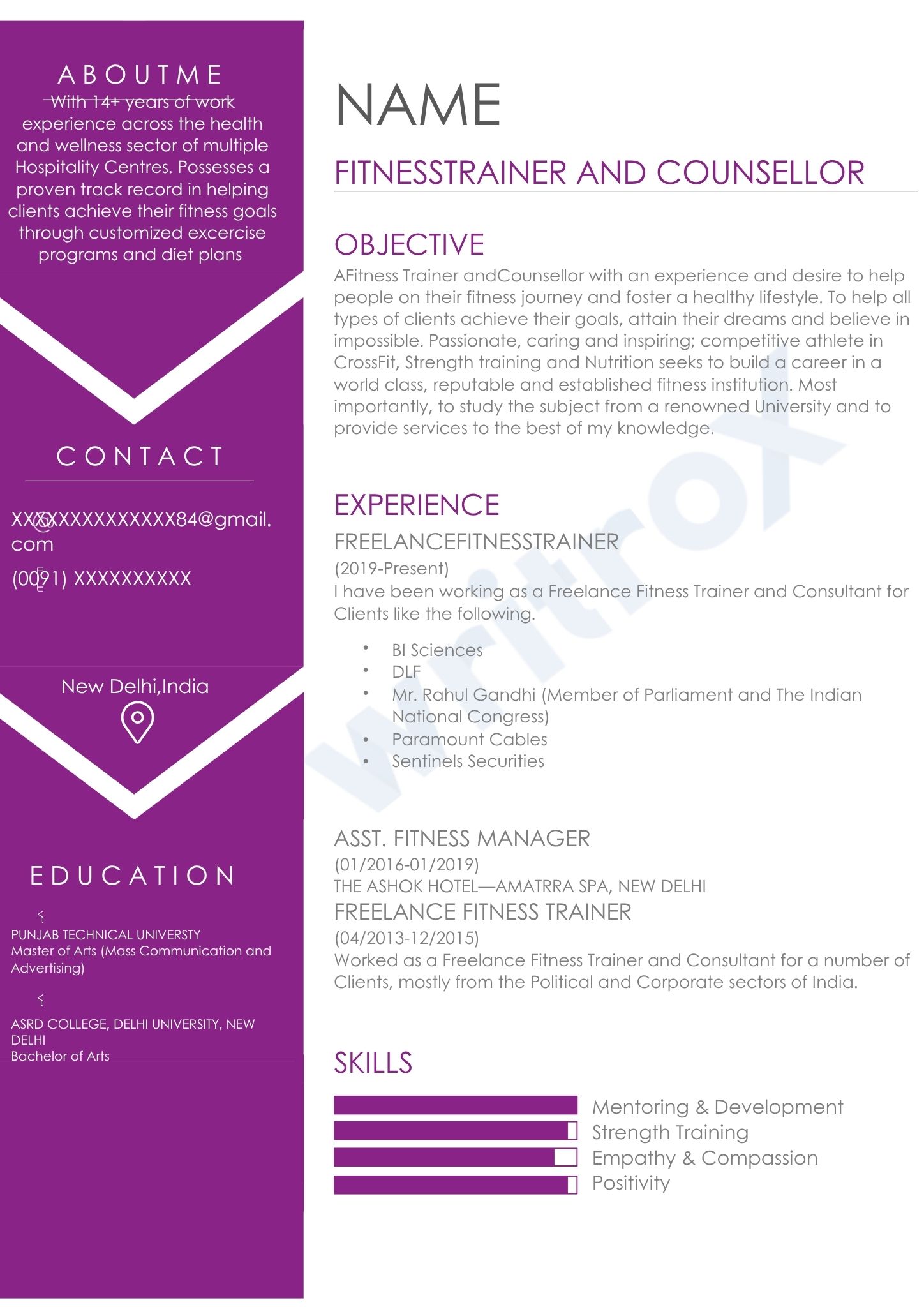 visual resume sample