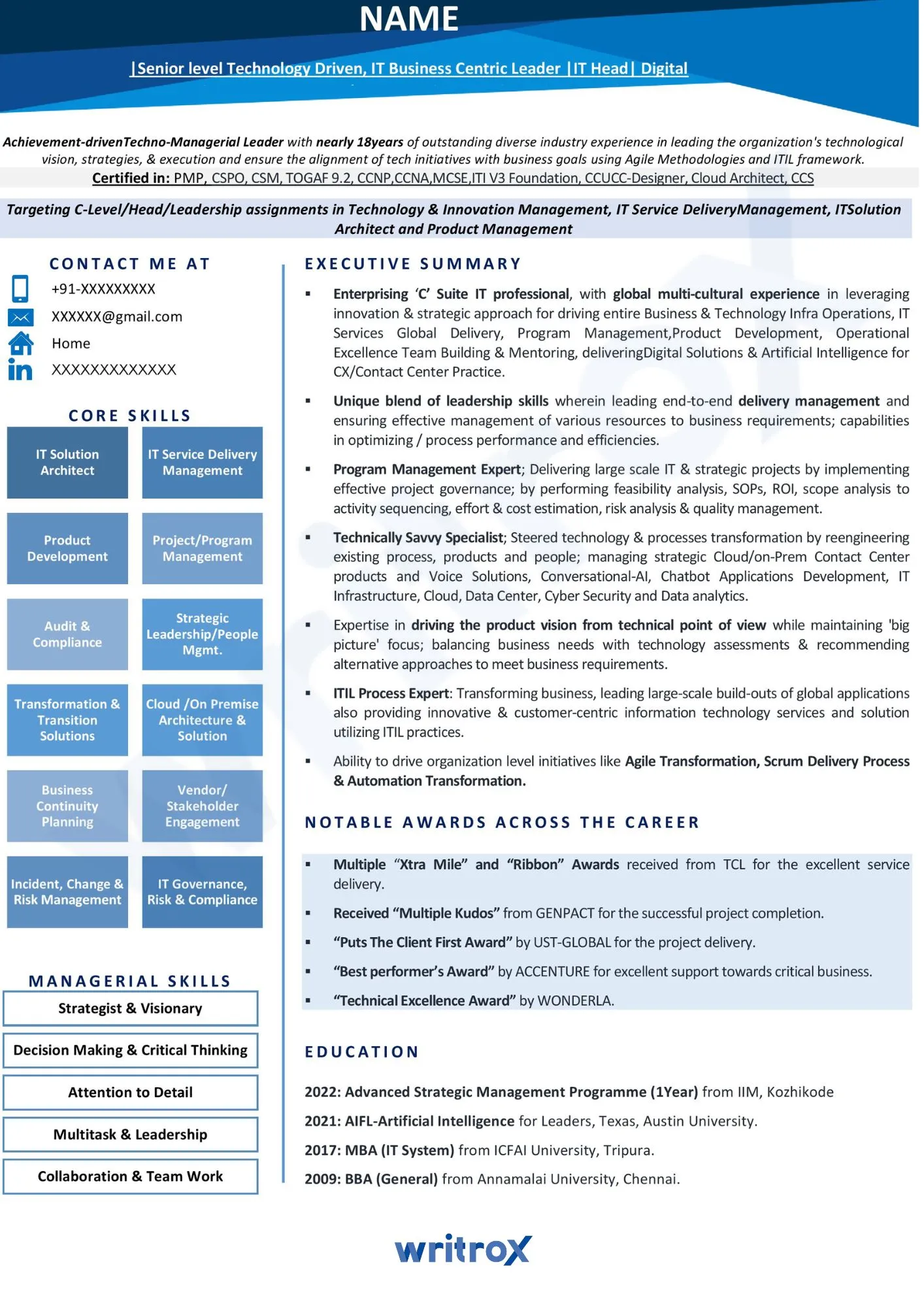 senior-level-technology-resume-samples